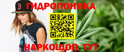 mdpv Гусиноозёрск