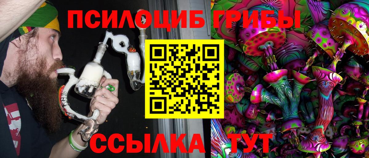 Псилоцибиновые грибы Cubensis Минусинск